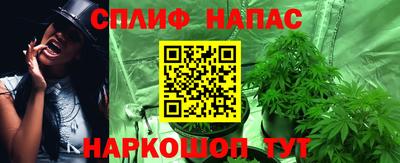 стаф Будённовск