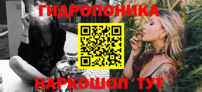 стаф Будённовск