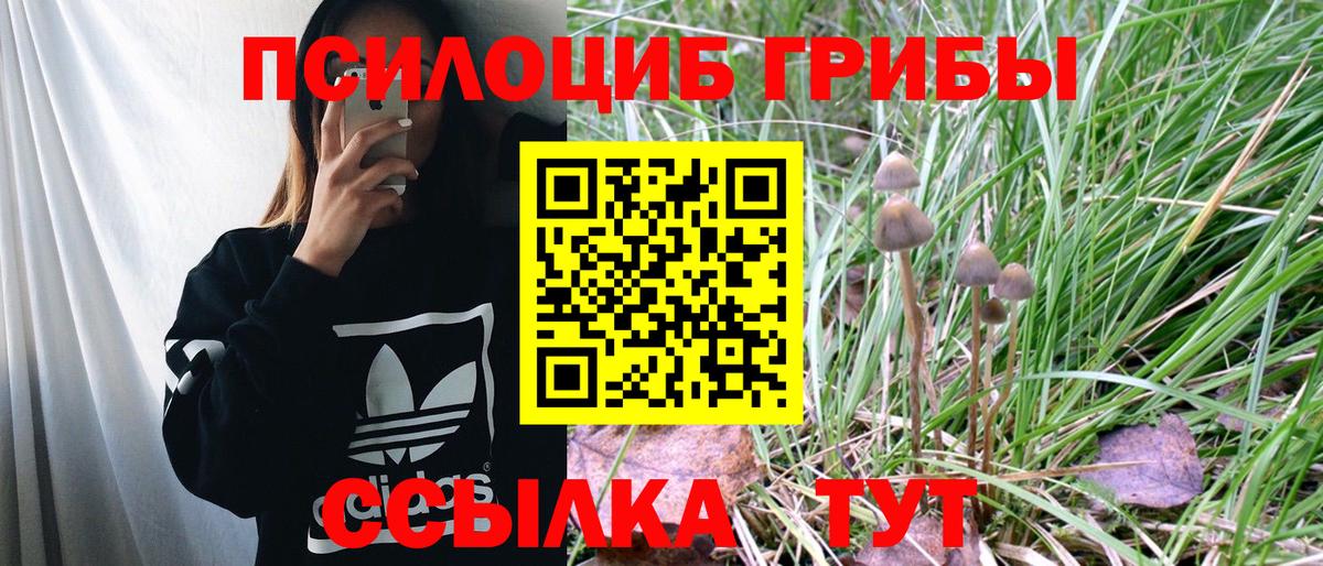 Галлюциногенные грибы GOLDEN TEACHER Батайск