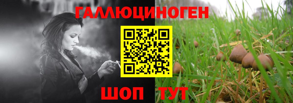 Псилоцибиновые грибы мухоморы  Вход с VPN  Батайск  где купить наркоту  Галлюциногенные грибы Psilocybine cubensis 